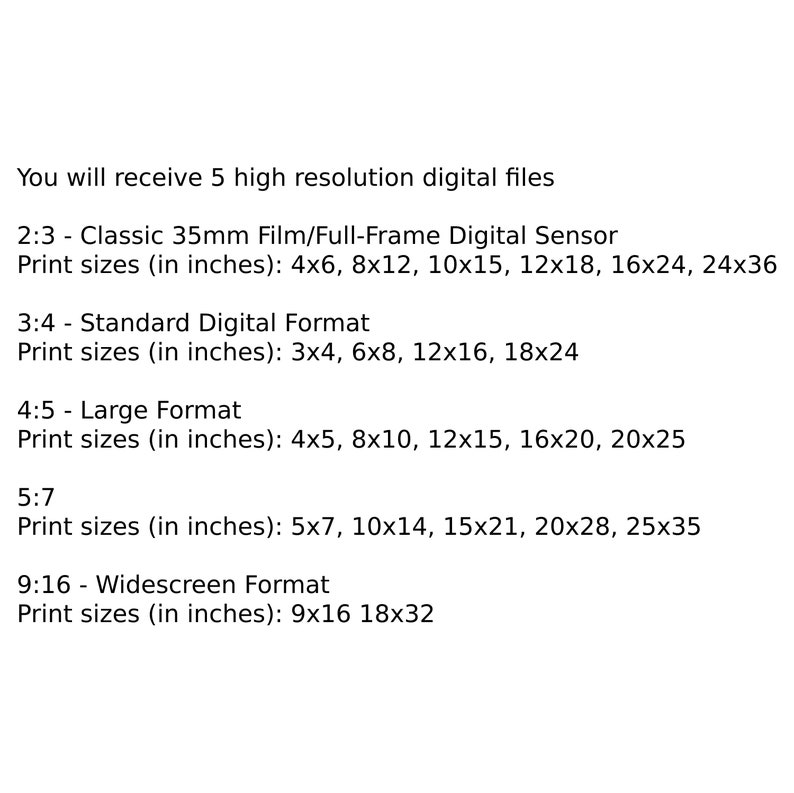 May include: Text explaining the different print sizes available for digital files in five aspect ratios: 2:3, 3:4, 4:5, 5:7, and 9:16. The print sizes are listed in inches.