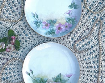 Set of Two Antique Pink Wild Rose Plates, Possible Thomas Sevres