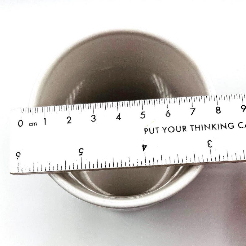 May include: A small, gray ceramic bowl with a white rim is shown with a ruler measuring its diameter. The ruler shows the bowl is approximately 9 cm in diameter. The text "PUT YOUR THINKING CA" is visible.