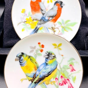 2 Vintage Ceramic Made in Japan Small Colourful Decorative Bird Wall Plates With Flowers and Branches. Collectable Tropical Bird Plates.