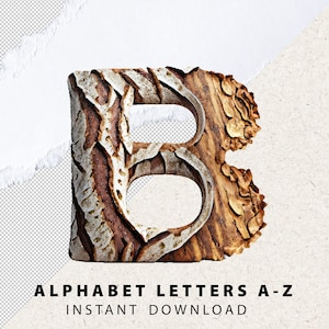 May include: A wooden letter B with a bark-like texture. The letter is brown and gray with a rough surface. The letter is isolated on a white background.