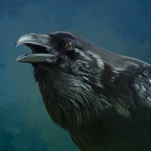 The Raven