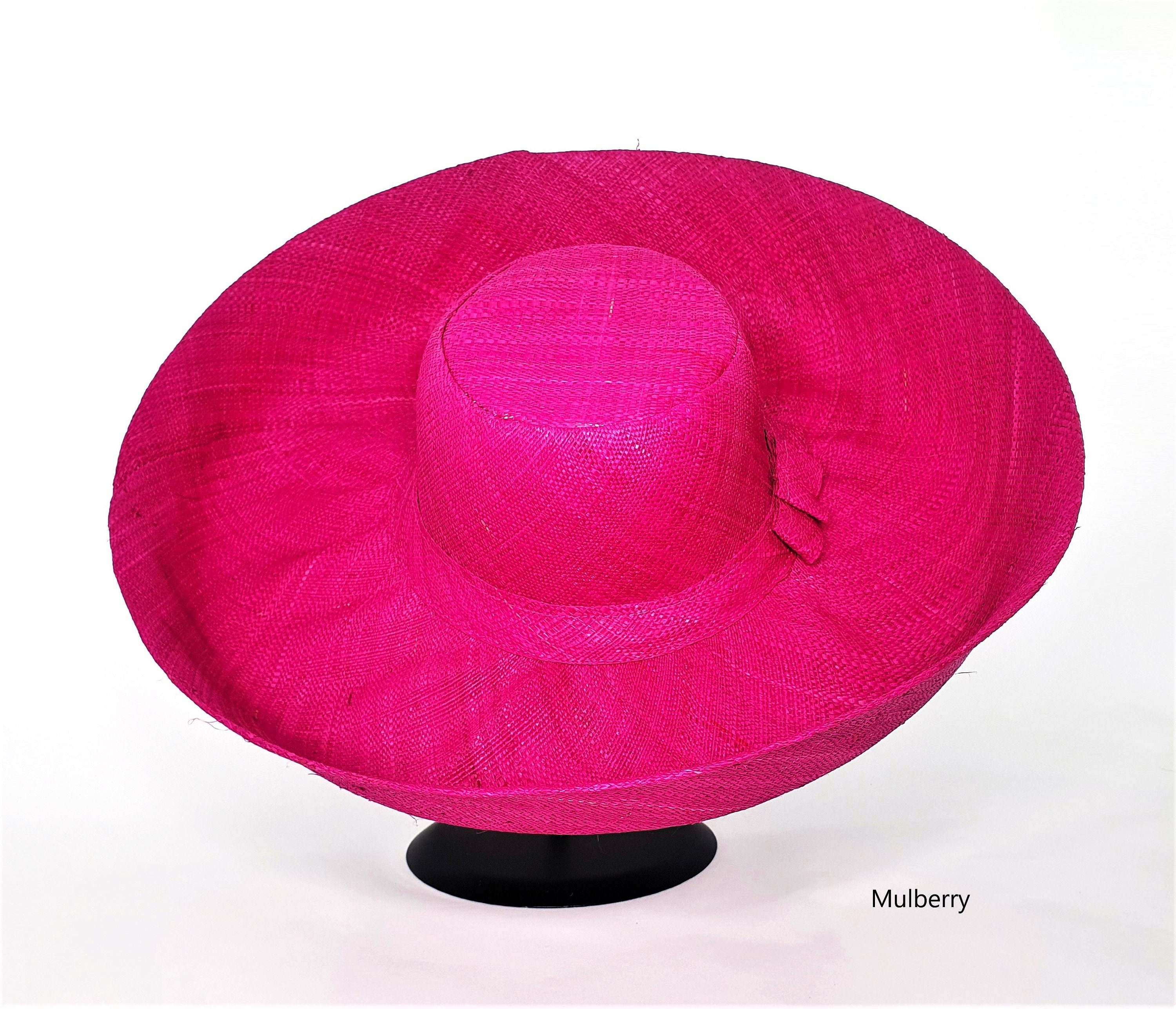 Five Inch Brim Raffia Hat