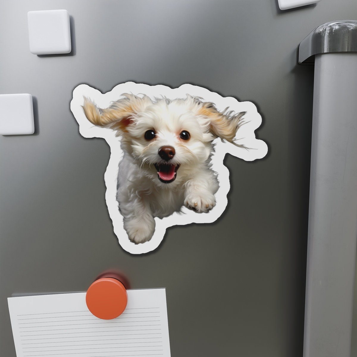 Dog Magnet Display Rack Poodle Puppy Magnets for Fridge, Magnetic Whiteboard or Locker. Five ...