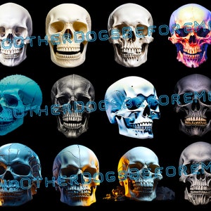 May include: A collection of 10 different coloured human skulls, each with a unique design and texture. The skulls are arranged in three rows of three and one row of four. The skulls are all facing forward, with their teeth visible. The skulls are all set against a black background.