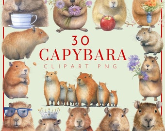 Capybara Clipart Cute Capybara Watercolor PNG Capybara Character Images Cute Animal Images Everything Capybara Stickers Guinea Pig PNG