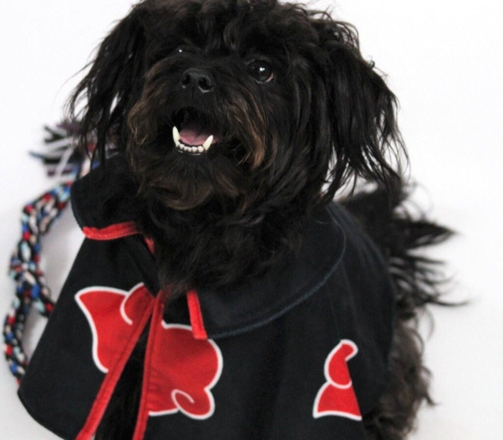 Akatsuki dog online sweater