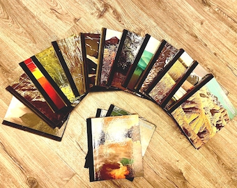 Choice! *Free Ship!* 1970s TIME LIFE “The American Wilderness” Vintage Hard Cover Books