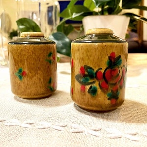 May include: Two small ceramic salt and pepper shakers with a brown base and floral designs in red, green, and blue.