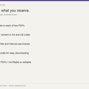 Content Repurpose Planner: Digital download / no physical product