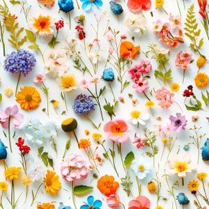 Zauberhafte Cottagecore Geschenkpapierrolle / Bunte Wildblumen Blumen Geschenkpapierrolle