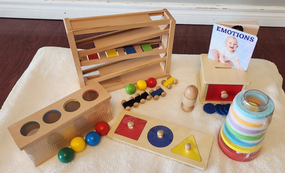 10 to 12 Months Montessori Playkit Montessori Play Kit Wooden Toy