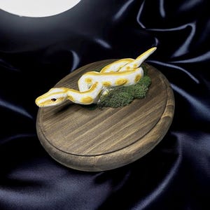 ball python plaque image 2