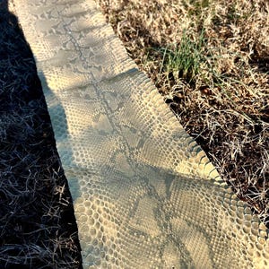 Puede incluir: Una piel de serpiente con un patr&oacute;n de escamas beige y grises. La piel est&aacute; tendida sobre hierba seca y tierra, con sombras proyectadas por la luz solar. La textura de la piel es visible, mostrando su dise&ntilde;o natural. La imagen destaca los detalles.