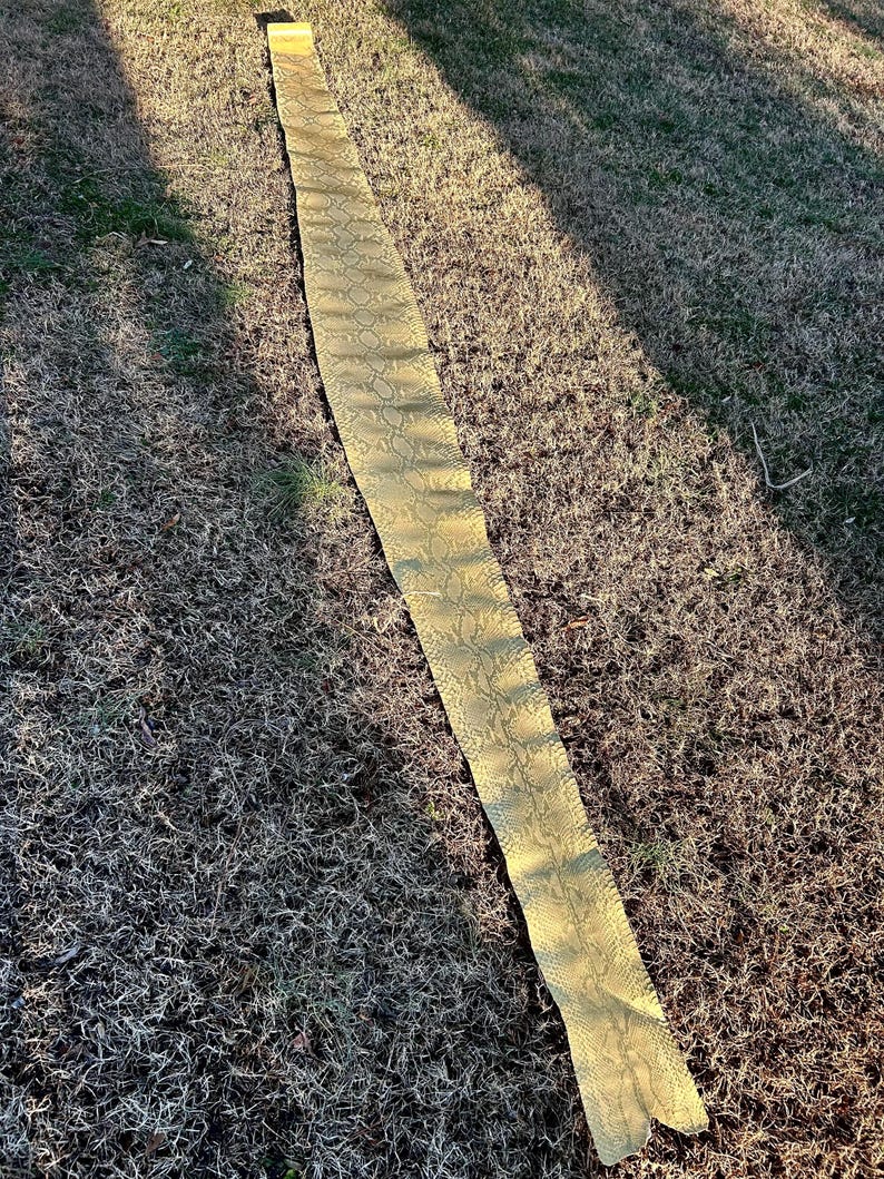 Puede incluir: Una tira larga y estrecha de cuero verde oliva con un patr&oacute;n de piel de serpiente yace sobre la hierba. El cuero es texturizado y tiene un ligero brillo, captando la luz del sol. El material parece flexible y podr&iacute;a usarse para manualidades.