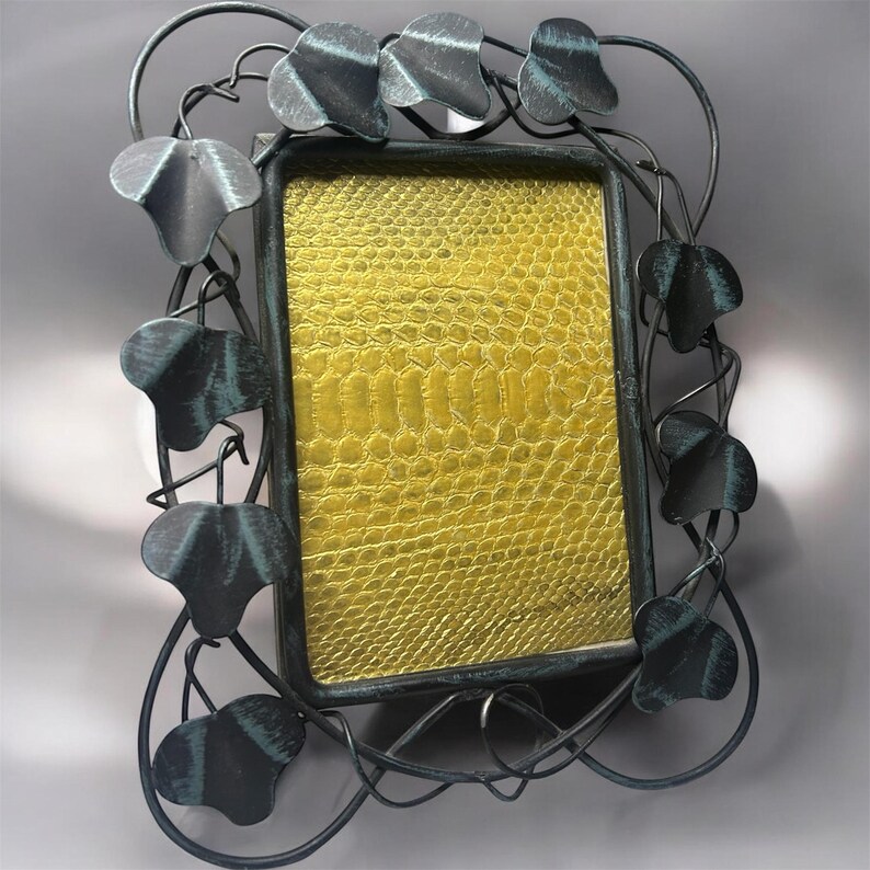 Pythonhaut Rahmen Bild 1