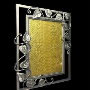 Frame van pythonleer