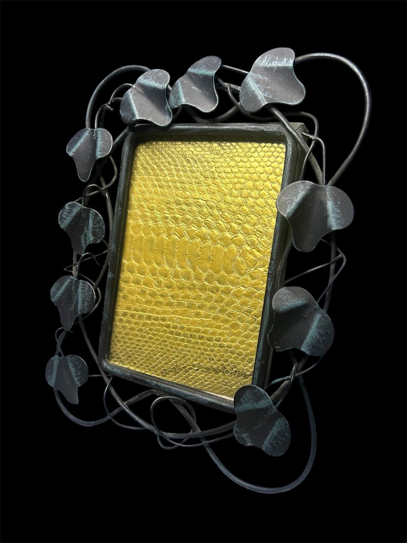 Pythonhaut Rahmen Bild 2