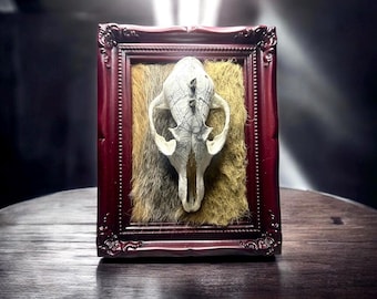fox skull frame