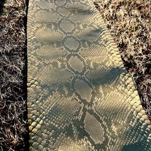 May include: A long, rectangular piece of material with a snakeskin pattern. The pattern features a mix of light and dark grey scales, creating a realistic reptile skin appearance. The material is lying on dry grass.