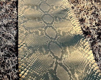 10 fot äkta pytonhud