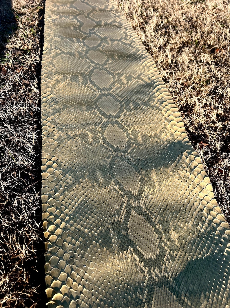 Puede incluir: Una larga pieza rectangular de material con un patr&oacute;n de piel de serpiente. El patr&oacute;n presenta una mezcla de escamas grises claras y oscuras, creando una apariencia realista de piel de reptil. El material est&aacute; sobre hierba seca.