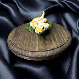 ball python plaque image 3