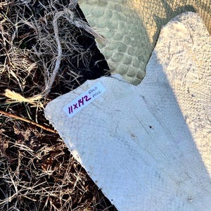 Puede incluir: Primer plano de varios trozos de cuero texturizado en tonos crema y verde. Una pieza tiene una etiqueta que dice "11x42" y "GOLD MTLC". El cuero est&aacute; sobre un lecho de hierba seca y ramitas.