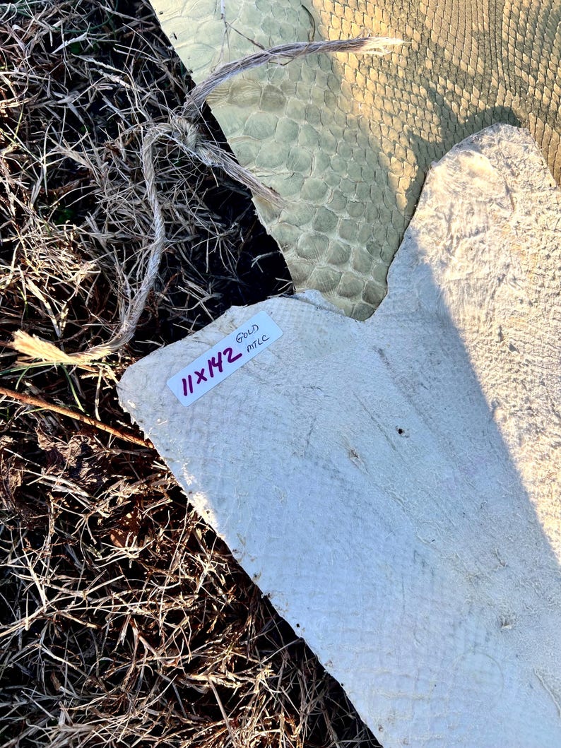 Puede incluir: Primer plano de varios trozos de cuero texturizado en tonos crema y verde. Una pieza tiene una etiqueta que dice "11x42" y "GOLD MTLC". El cuero est&aacute; sobre un lecho de hierba seca y ramitas.