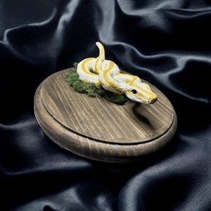 ball python plaque image 4