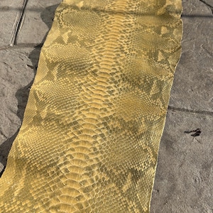 Pode incluir: Um pedaço de pele de cobra curtida com um padrão de escamas sobrepostas. A pele de cobra é principalmente amarela com marcas verde-oliva mais escuras. A textura da pele é áspera e irregular, com uma aparência natural e orgânica.