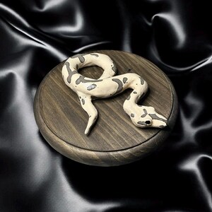 K&ouml;nnte beinhalten: Cremefarbene Schlangenfigur mit dunkelgrauen Markierungen, auf einer runden, dunklen Holzbasis aufgerollt. Der Schlangenkopf hat kleine, dunkle Augen. Der Hintergrund ist ein schwarzer, seidiger Stoff.