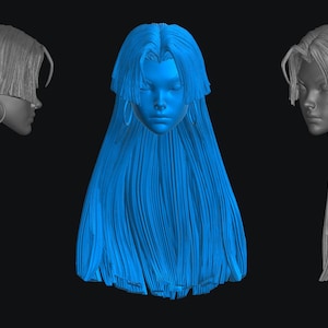 Sylawk Head (PSY-003) [Any Figurine Scale]