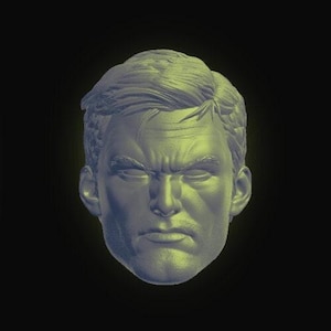 Stevia Robbers Head (CAA-014)[Any Figurine Scale]