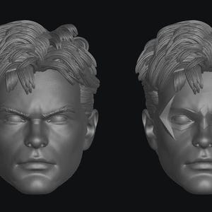 Woodpecker Heads Set 1 (ROB-001A- ROB-001B) [Any Figurine Scale]