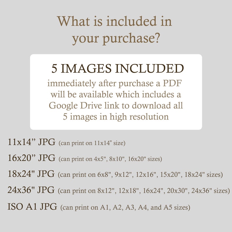 May include: A text graphic with the title "What is included in your purchase?" and the text "5 IMAGES INCLUDED" in a brown box. The text below the box lists five different image sizes and their corresponding print sizes in inches. The text includes "11x14" JPG, "16x20" JPG, "18x24" JPG, "24x36" JPG, and "ISO A1 JPG".