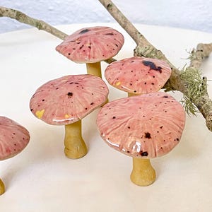 medium geglazuurde keramische paddenstoel, paddenstoel, roze, oranje, geel, paddenstoel,