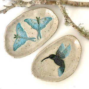 Ceramic trinket dish | moth | hummingbird | ring dish |