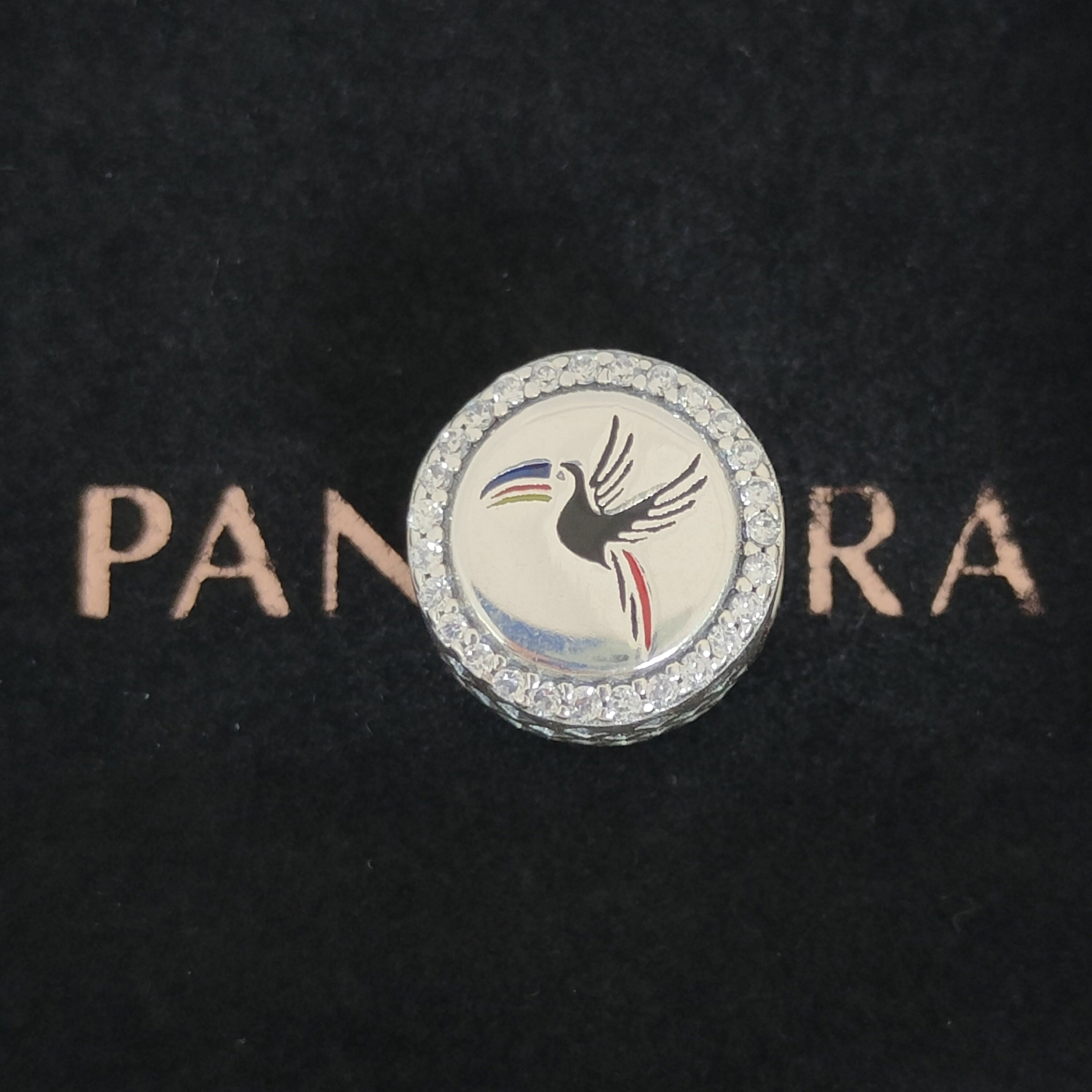 Pandora belize deals charm