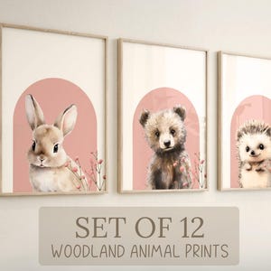 Blush Woodland-dierenkwekerijafdrukken: boho-babykamerdecoratie (set van 12 digitale downloads)