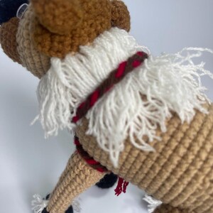 Handgefertigte Häkelpuppen Set - Elsa, Anna, Kristoff, Sven, Olaf Charaktere, Muttertagsgeschenk Bild 9