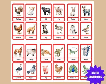 Farm Animals Flash Cards,  Montessori Flash Cards,  Educational Preschool Printable Card, Farm Animals Cards for Toddlers,Nomenclature cards
