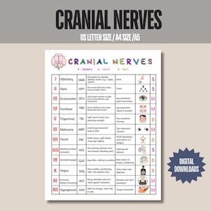 Guide d'étude des nerfs crâniens, tableau des nerfs crâniens, aide-mémoire sur la fonction des nerfs crâniens - Évaluation des nerfs crâniens - Préparation à la faculté d'infirmières