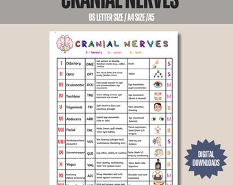 Cranial Nerves Chart: Colorful Hand-drawn Study Guide (digital Download ...