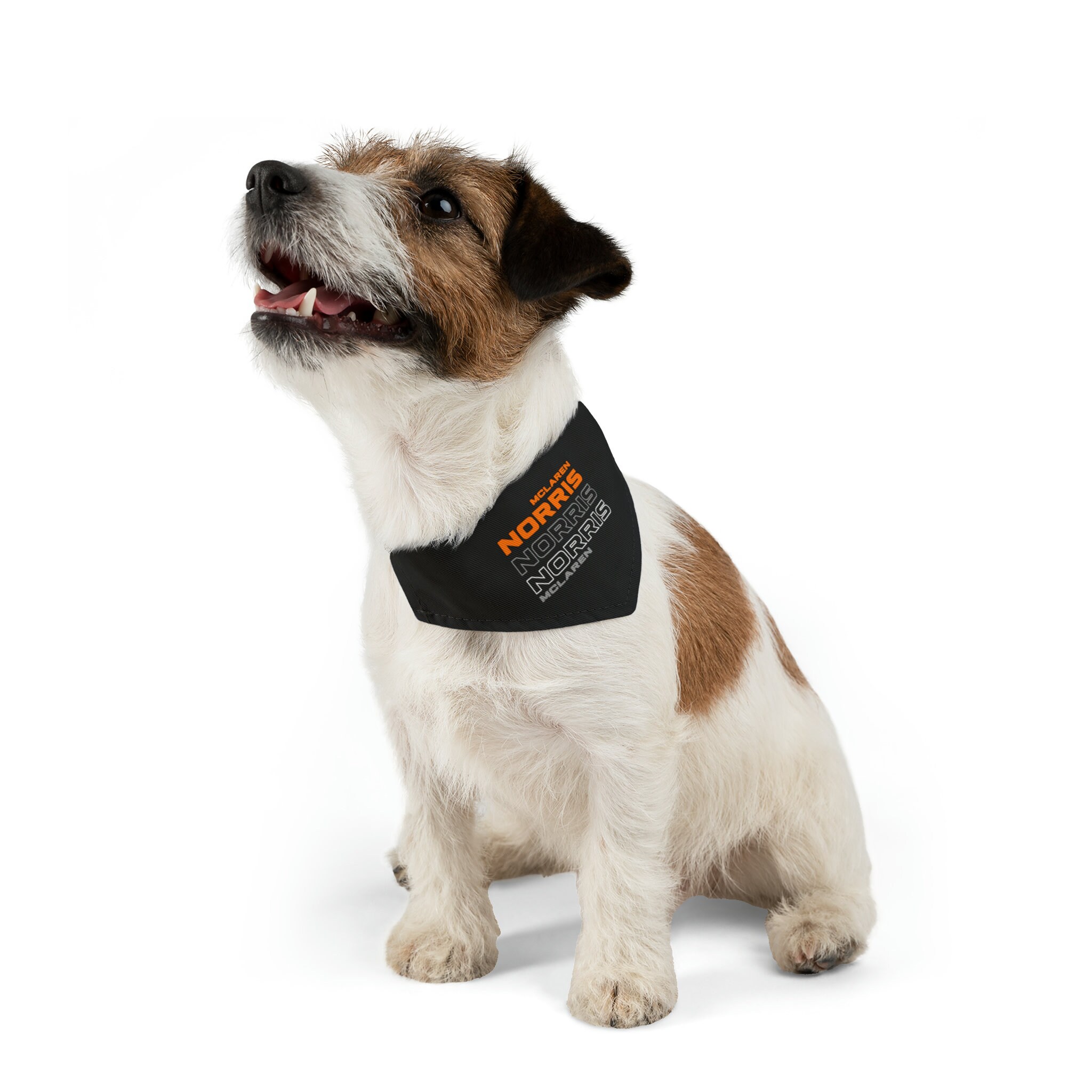 Formula 1 hotsell dog collar