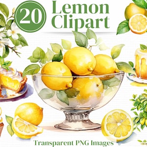 Summer Citrus Fruit Lemons Png Clipart Images -Watercolor citrus bundle - 20 Individual Transparent Lemons images