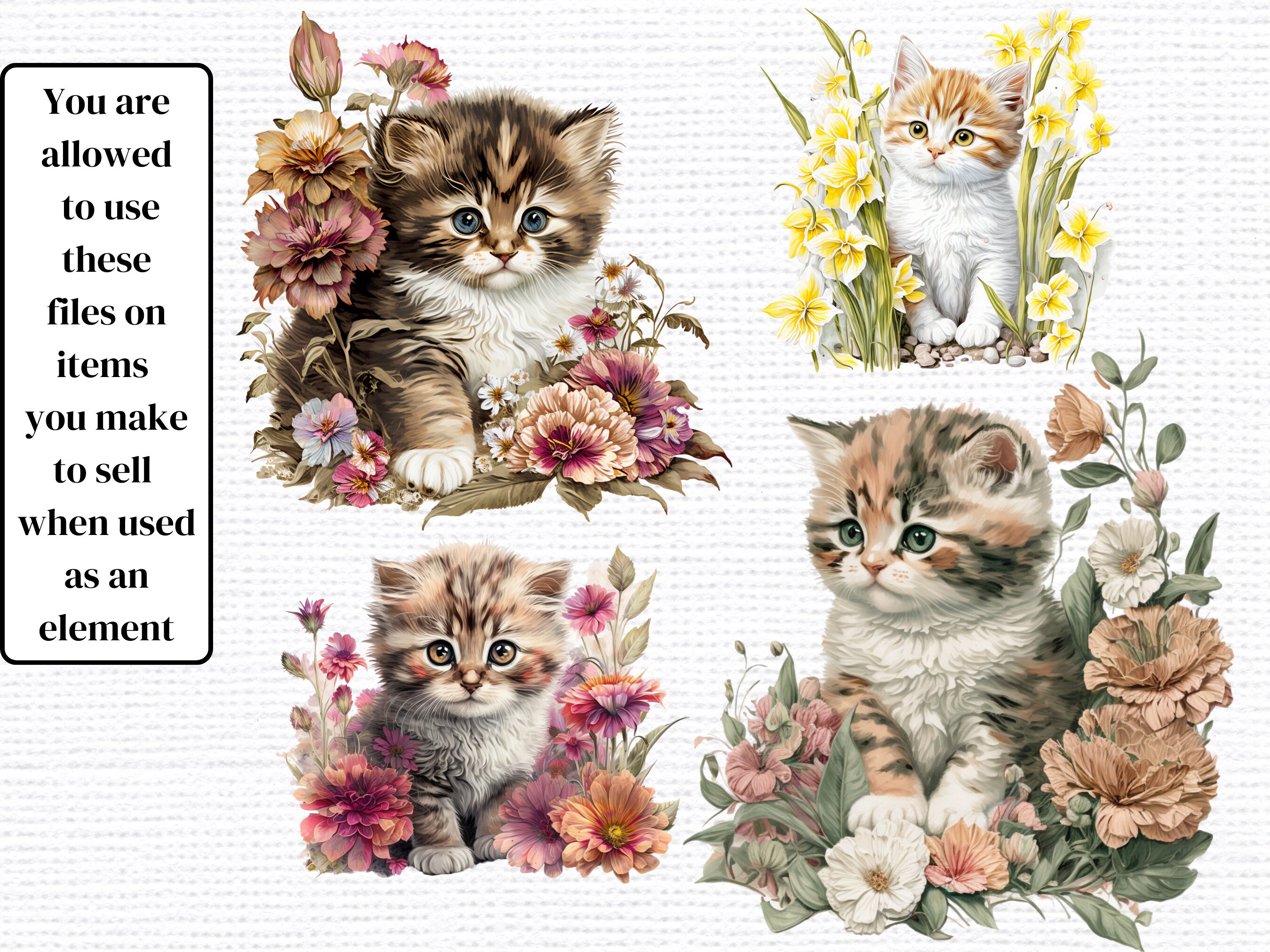 Floral Kitten Clipart Set: Watercolor Cat PNG, Commercial Use (22 Pack ...