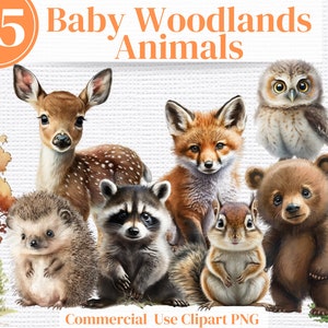 65 Woodland Forest Animals Clipart aquarelle, pépinière Woodland, bébé animaux Png, PNG transparents, utilisation commerciale pépinière Clipart renard cerf