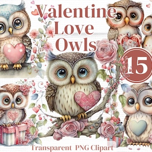 Niedliche Valentines Eule Png Clipart - Aquarell Eulen Bundle - Für Junk Journals, Scrapbook, Einladungskarten, Sublimation etc