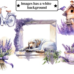 May include: A watercolour illustration of a lavender theme with a bicycle, a dog sleeping in a window, a birdhouse with a bird, a bouquet of lavender, and a teacup with lavender inside.